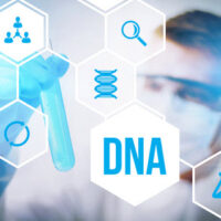 DNATest DNATest